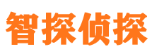 新密侦探公司